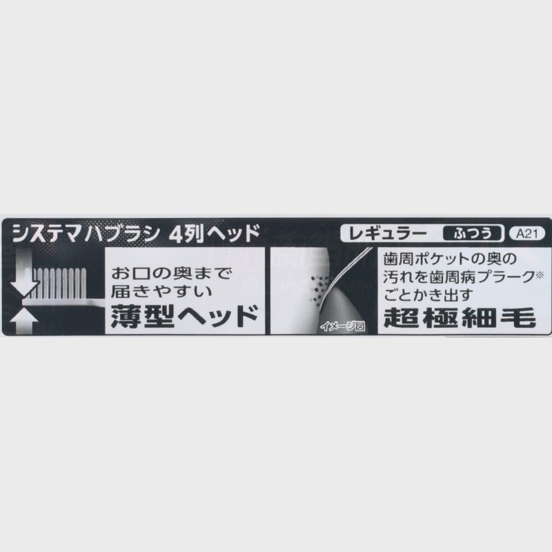 『LIONシステマ』ハブラシ(歯ブラシ)