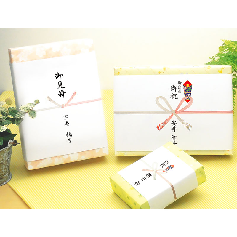 のし紙 見舞用 のし無し 五本結切(京)《WEB》