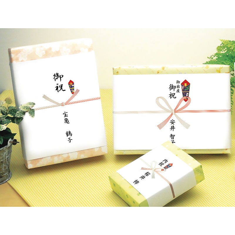 のし紙 祝 五本結切(山)《WEB》