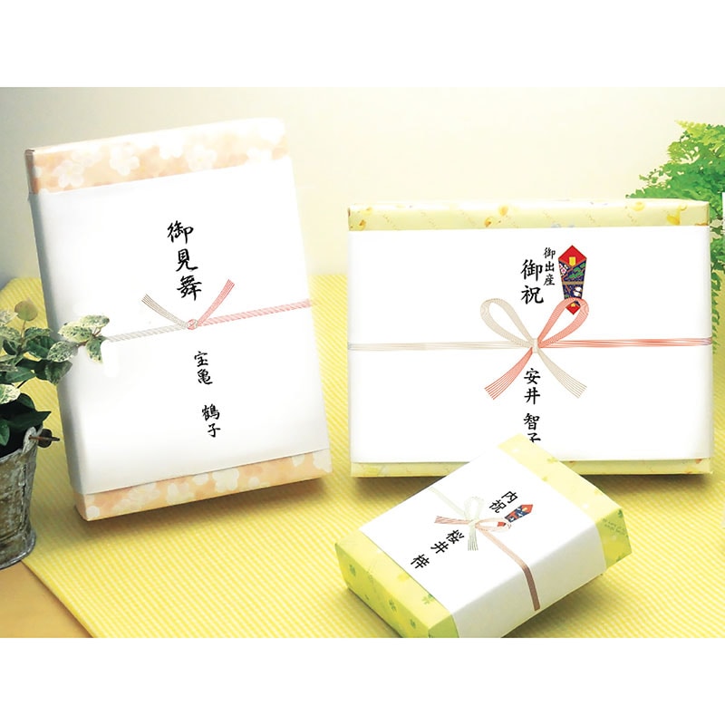 のし紙 見舞用のし無し 五本結切(山)《WEB》