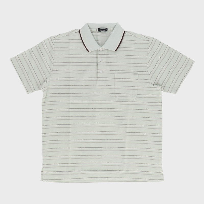 紳士半袖ボーダー柄ポロシャツ『Royalcy』