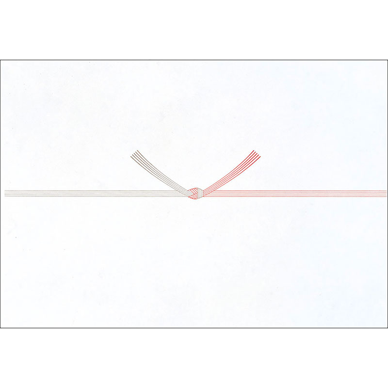 のし紙 見舞用のし無し 五本結切(山)《WEB》