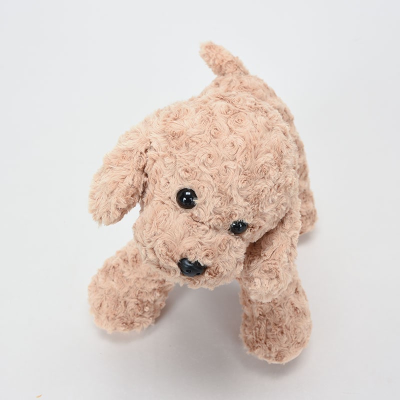 たちぬいBiGトイプードル