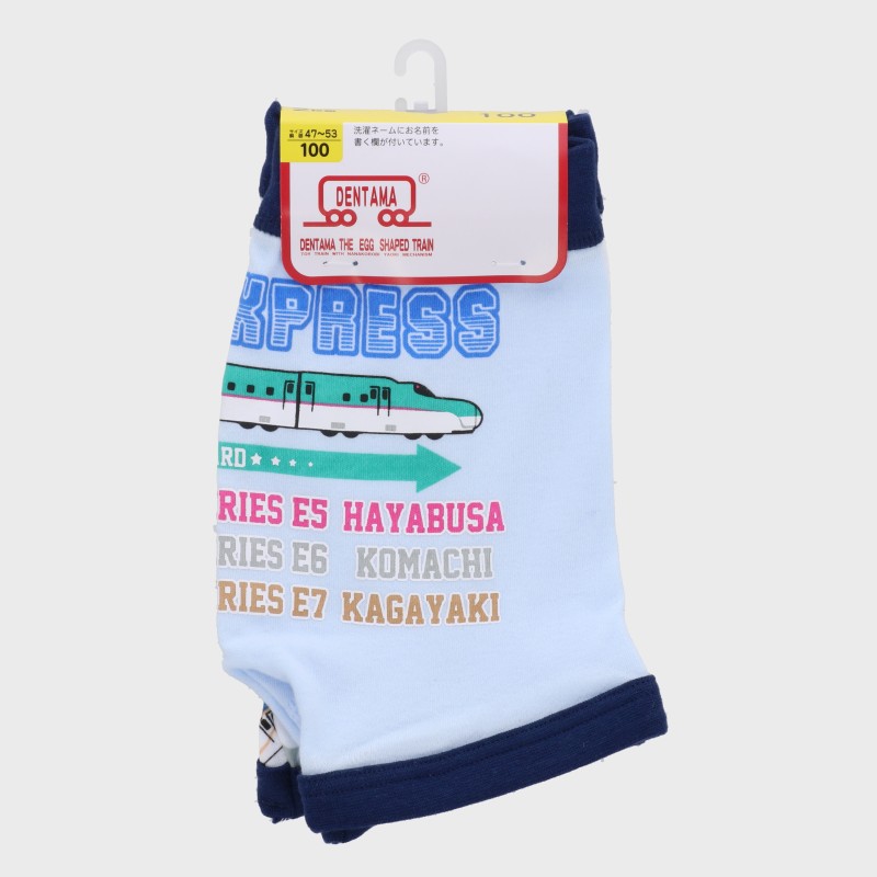 男児『でんたま』ボクサーブリーフ2枚組