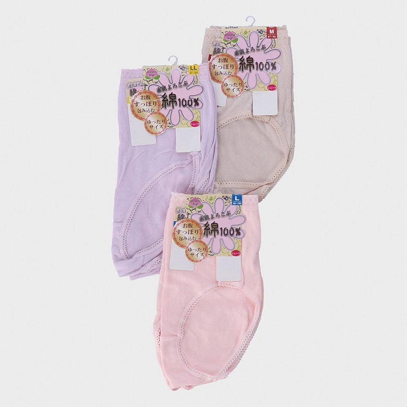 2P綿100%スムースショーツ無地LL