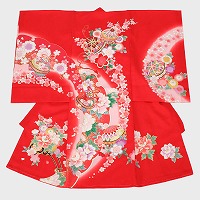 �������{�w�菉��