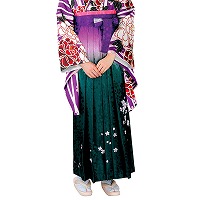 Ｈ・Ｌボカシ刺繍袴【紫×グリーン・小桜】