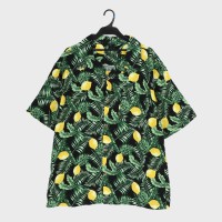 �a�m�A���n�V���c