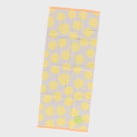 �w�A�\�{�b�J �����O�x�t�F�C�X�^�I��