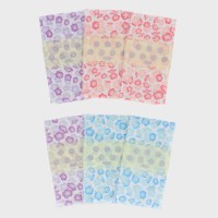 6���g�K�[�[��@���w�l���t�B���x