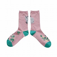 �w�����~���L�x�\�b�N�X Back Cat