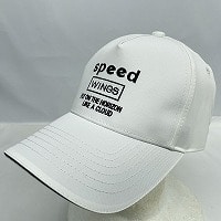 �a�m�wSPEED�@WINGS�xSPEED�@WINGS�@�a�mCAP�sWEB�t