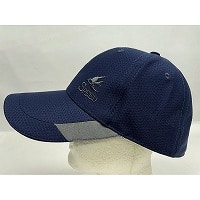 �a�m�wSPEED�@WINGS�xSPEED�@WINGS�@�a�mCAP�sWEB�t