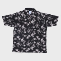 �a�m�����������܃|���V���c