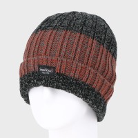 wSPEED WINGSxgXE{AjbgX(b`)