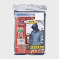 jp͂HbP301