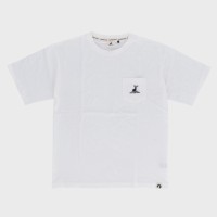amn|PbgTVcwCAPTAIN@STAGx