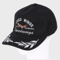 wSPEED WINGSx΃[thイ胏ChLbv(E[)