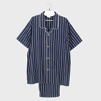 �a�m��100�������甼���e�[���[�p�W���}