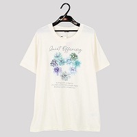 �w�l�r�W���[�t���v�����g�s�V���c