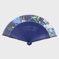 �a�m�V���N�@��q�@22cm