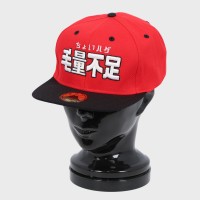 �a�m�S�L�Q���L���b�v�w���傢�n�Q�їʕs���x