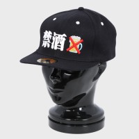 �a�m�S�L�Q���L���b�v�w�֎��x