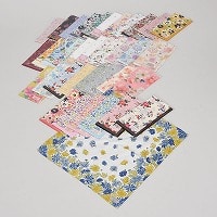 ���{���w�l�n���J�`