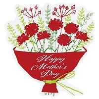 ��̓��V�[��-36/�J�[�l�[�V�����u�[�P�@100�����sWEB�t