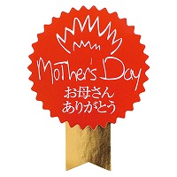 ��̓��V�[��-15/���b�h�}�U�|�Y�f�C�@100�����sWEB�t