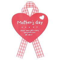 ��̓��V�[��-28�@�s���N�`�F�b�N���{���@30�����sWEB�t