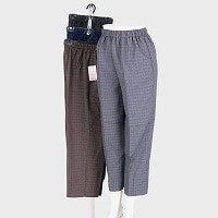 �w�l���{���i�q�Ѓ|�P�p���c