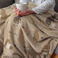 �t�����l���j���[�}�C���[�ѕz�r