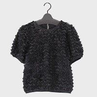 �w�l�wVERITE�x�ԃt�����u���E�X