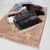 ܕtd߂Q킹}C[ѕzr@QDS