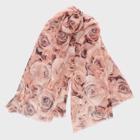 ����v�����g�唻�X�g�[���i�o�����j