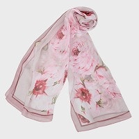 �V�t�H���v�����g�X�g�[���i�A�[�g�t�����[���j