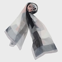 �V�t�H���v�����g�X�g�[���i�􉽊w���j