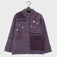 �w�lS���э����`�[�t���{�A�J�[�f�B�K��