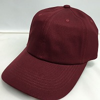 �w�l�wM�� Daily Hat�xMy Daily Hat  ��냊�{��CAP�sWEB�t