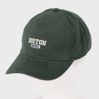 SCAPLbv(BOSTON)
