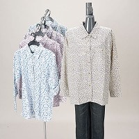 �w�l�ԕ����[���A�b�v�u���E�X