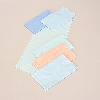 �����W���K�[�h�t�F�C�X�^�I���m�s