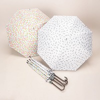 ���J���p�O���X�����u���b�N�T�W�����W�����v�P�i�ԕ��j