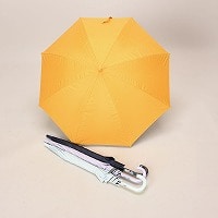 ���J���p�w���T�T�����W�����v�P