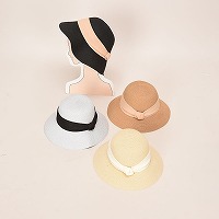 �V���v�����{�������X�q