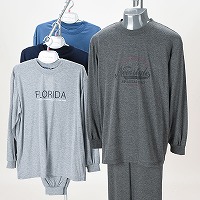 �a�m�V���X�[�c