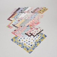 ���{���w�l�n���J�`