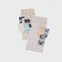 �F�n�t�@���V�[���K�[�[��@�i�P�o�܁j