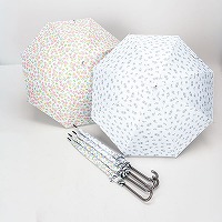 ���J���p�O���X�����u���b�N�T�W�����W�����v�P�i�ԕ��j